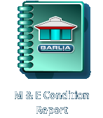 M & E Condition Report